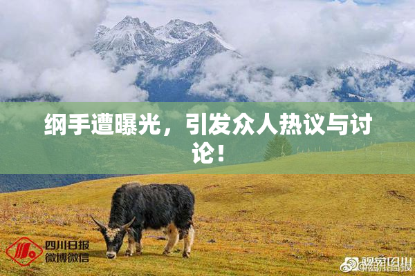 纲手遭曝光，引发众人热议与讨论！