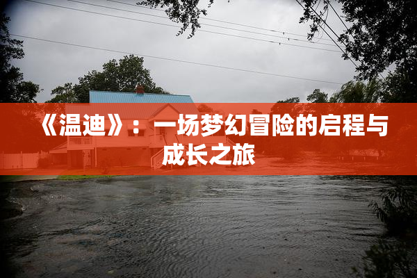 《温迪》：一场梦幻冒险的启程与成长之旅