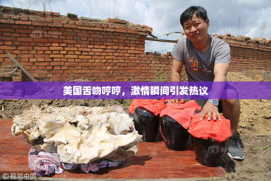 美国舌吻哼哼，激情瞬间引发热议