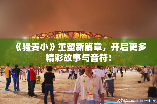 《骚麦小》重塑新篇章，开启更多精彩故事与音符！