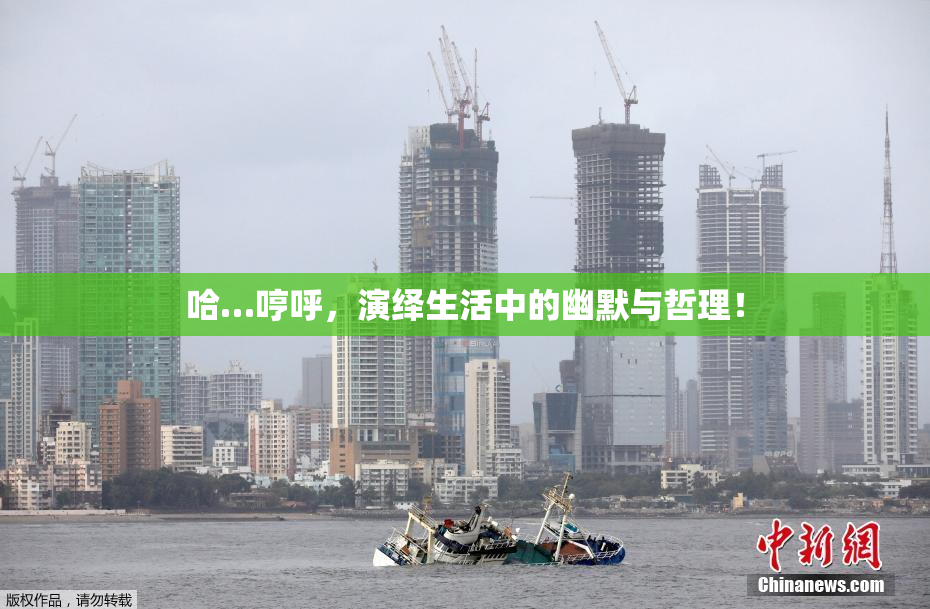 哈…哼呼，演绎生活中的幽默与哲理！