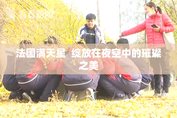 法国满天星  绽放在夜空中的璀璨之美