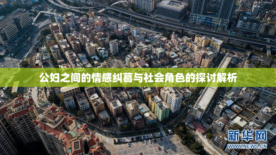 公妇之间的情感纠葛与社会角色的探讨解析