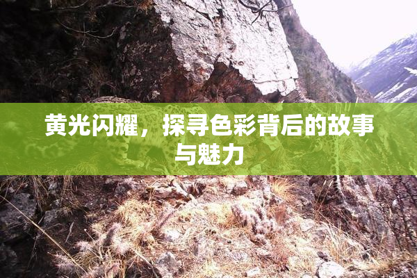 黄光闪耀，探寻色彩背后的故事与魅力