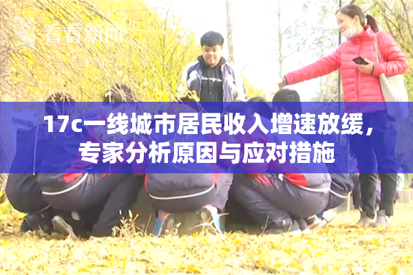 17c一线城市居民收入增速放缓，专家分析原因与应对措施
