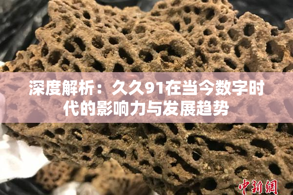 深度解析：久久91在当今数字时代的影响力与发展趋势