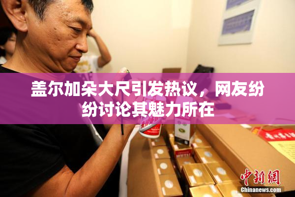 盖尔加朵大尺引发热议，网友纷纷讨论其魅力所在