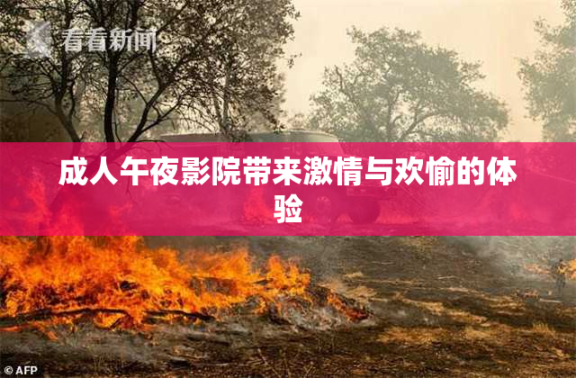 成人午夜影院带来激情与欢愉的体验