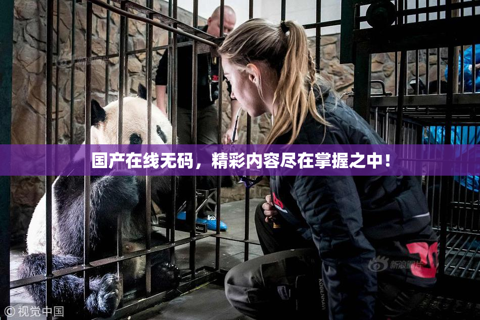 国产在线无码，精彩内容尽在掌握之中！