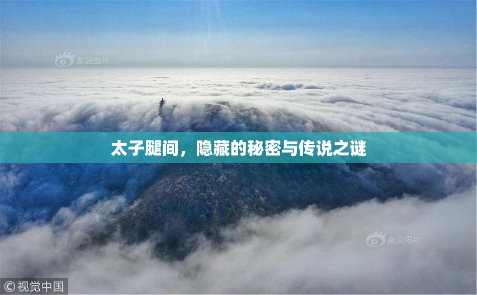 太子腿间，隐藏的秘密与传说之谜