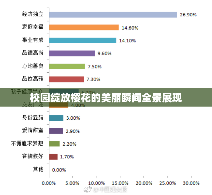 校园绽放樱花的美丽瞬间全景展现