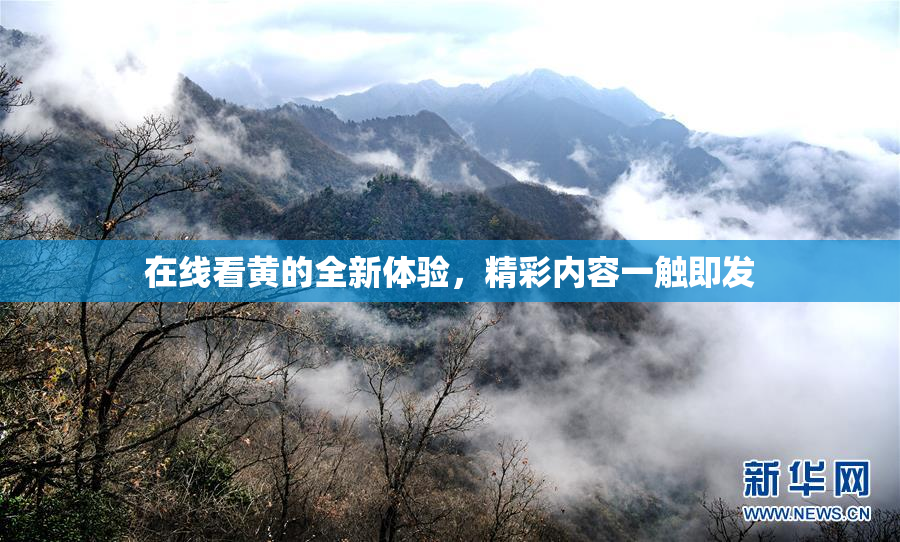 在线看黄的全新体验，精彩内容一触即发