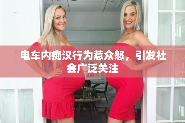 电车内痴汉行为惹众怒，引发社会广泛关注