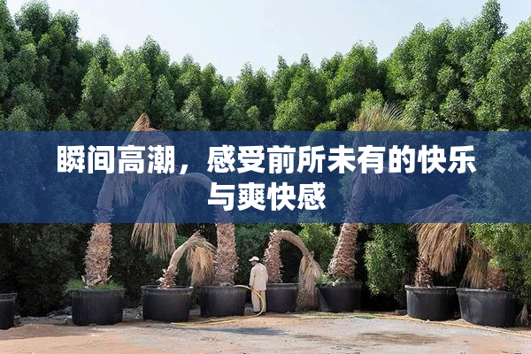 瞬间高潮，感受前所未有的快乐与爽快感
