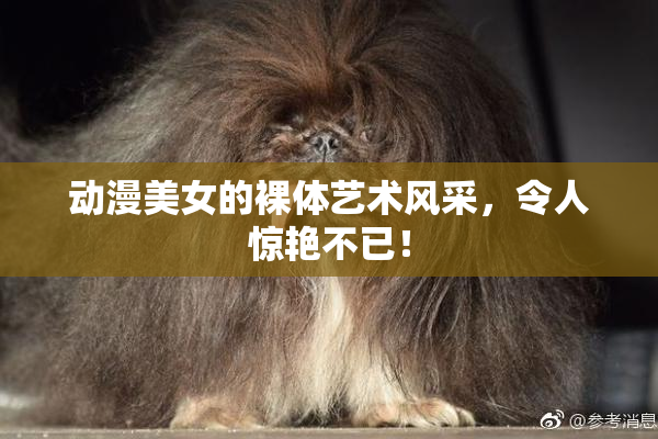 动漫美女的裸体艺术风采，令人惊艳不已！