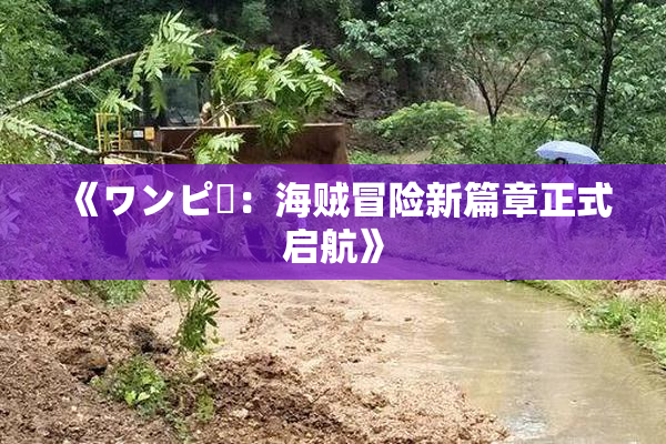 《ワンピー：海贼冒险新篇章正式启航》