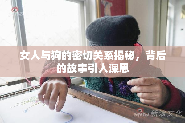女人与狗的密切关系揭秘，背后的故事引人深思