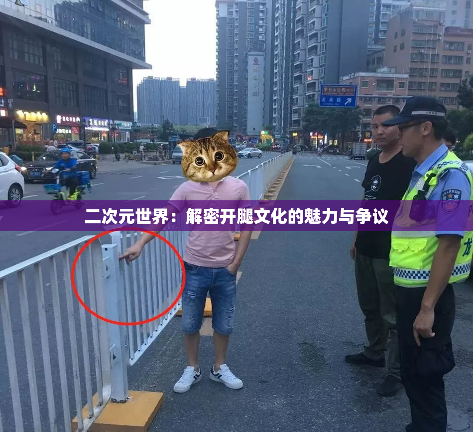 二次元世界：解密开腿文化的魅力与争议