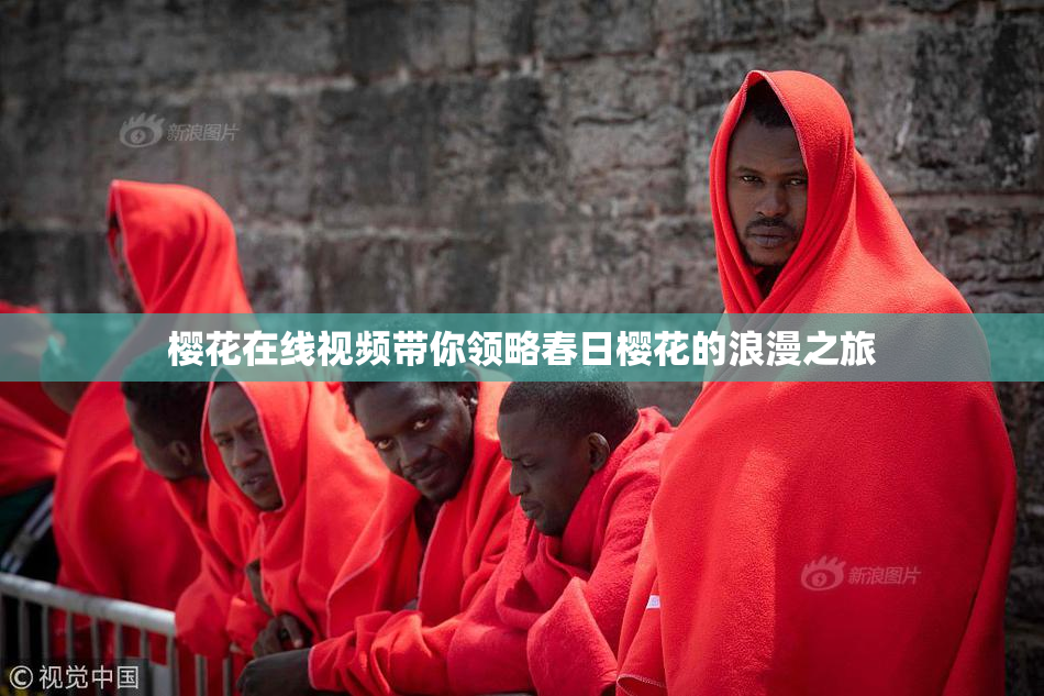 樱花在线视频带你领略春日樱花的浪漫之旅