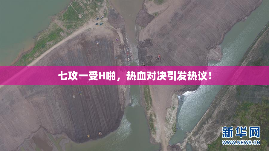 七攻一受H啪，热血对决引发热议！