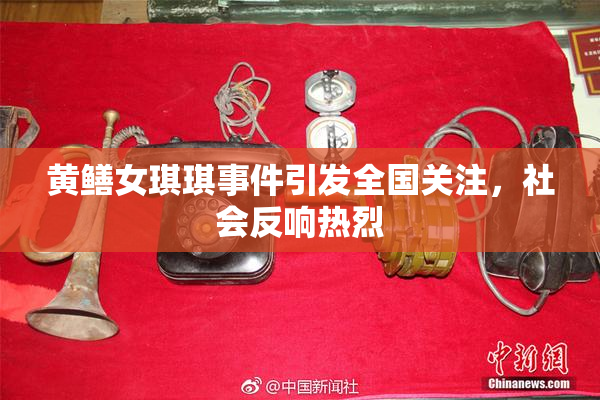 黄鳝女琪琪事件引发全国关注，社会反响热烈
