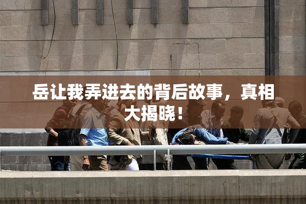 岳让我弄进去的背后故事，真相大揭晓！