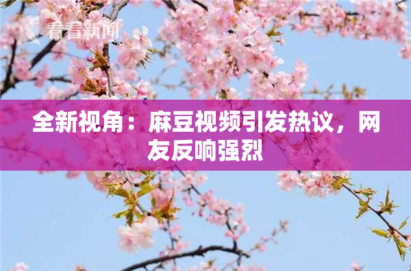 全新视角：麻豆视频引发热议，网友反响强烈