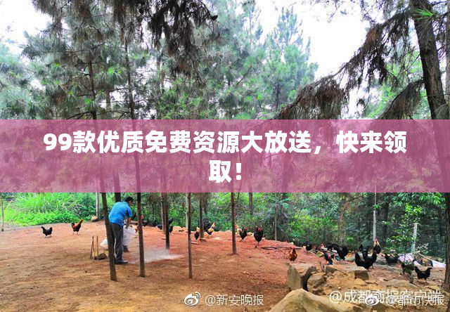 99款优质免费资源大放送，快来领取！