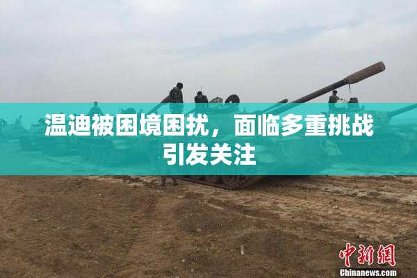 温迪被困境困扰，面临多重挑战引发关注
