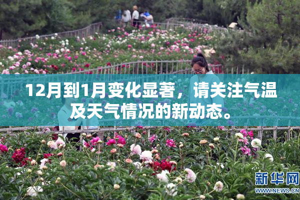 12月到1月变化显著，请关注气温及天气情况的新动态。