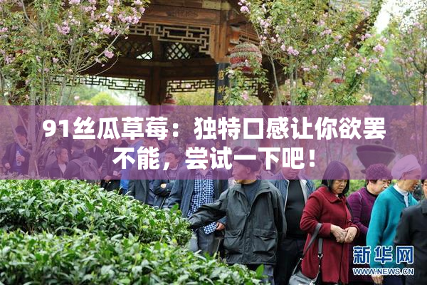 91丝瓜草莓：独特口感让你欲罢不能，尝试一下吧！