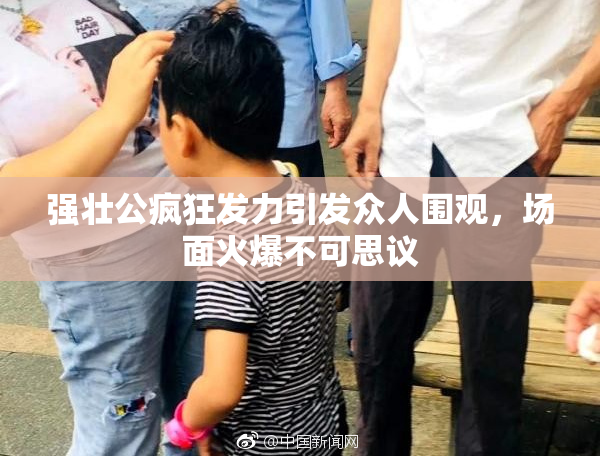 强壮公疯狂发力引发众人围观，场面火爆不可思议