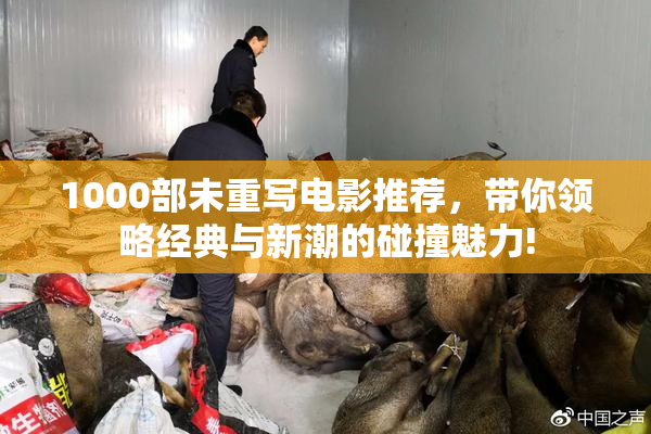 1000部未重写电影推荐，带你领略经典与新潮的碰撞魅力!
