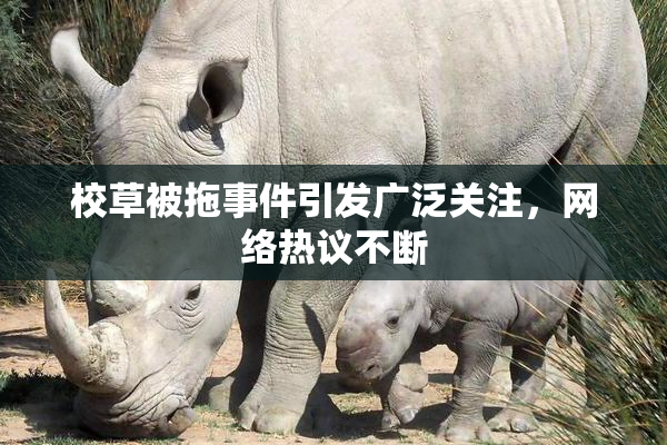 校草被拖事件引发广泛关注，网络热议不断
