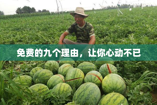 免费的九个理由，让你心动不已
