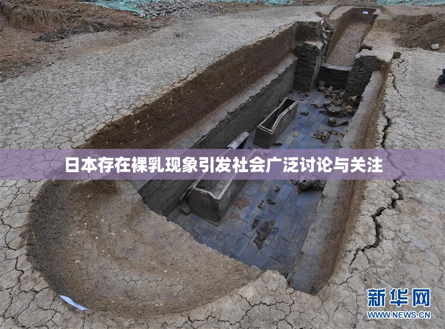 日本存在裸乳现象引发社会广泛讨论与关注