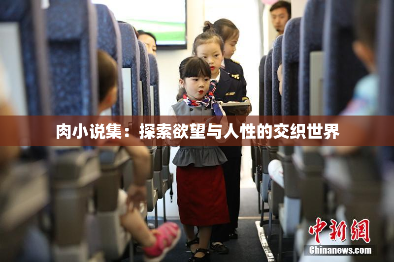 肉小说集：探索欲望与人性的交织世界