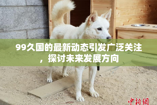 99久国的最新动态引发广泛关注，探讨未来发展方向