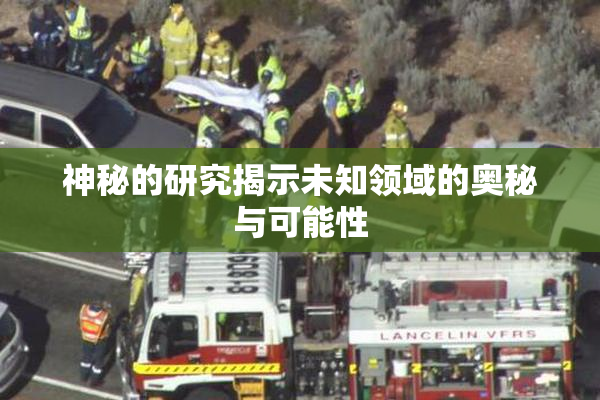神秘的研究揭示未知领域的奥秘与可能性