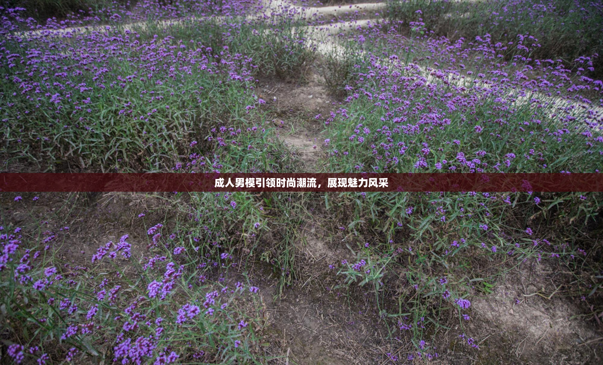 成人男模引领时尚潮流，展现魅力风采