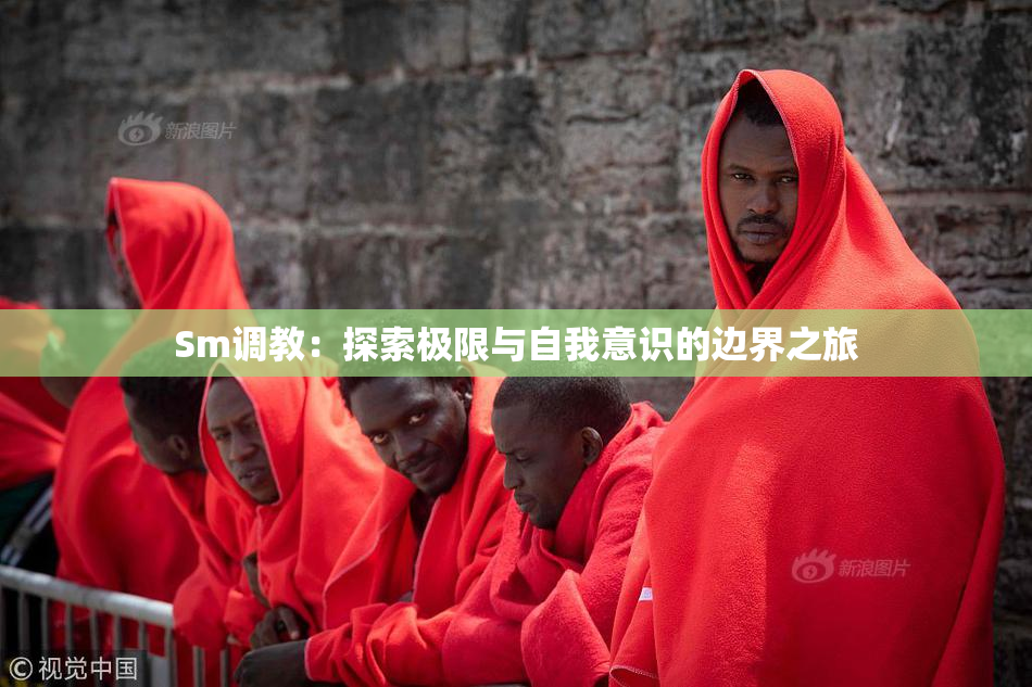 Sm调教：探索极限与自我意识的边界之旅
