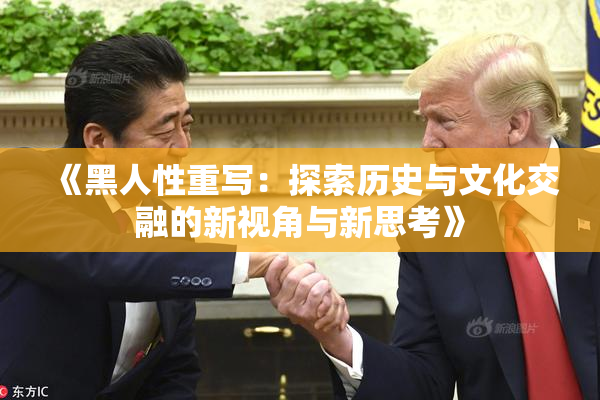 《黑人性重写：探索历史与文化交融的新视角与新思考》