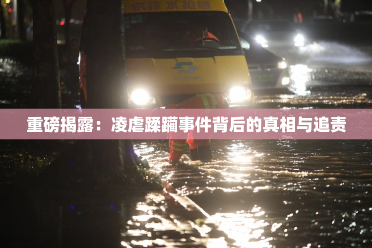 重磅揭露：凌虐蹂躏事件背后的真相与追责