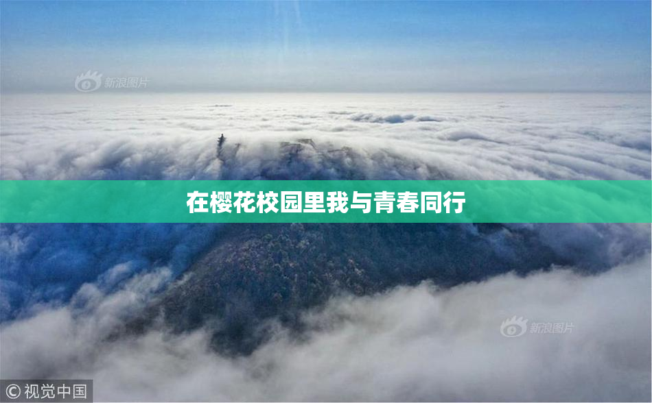 在樱花校园里我与青春同行