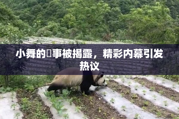 小舞的婬事被揭露，精彩内幕引发热议