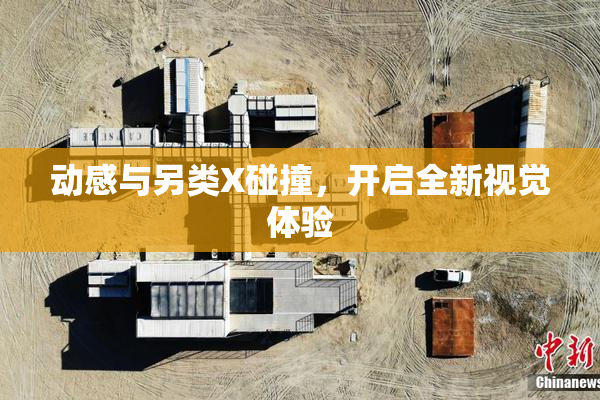 动感与另类X碰撞，开启全新视觉体验