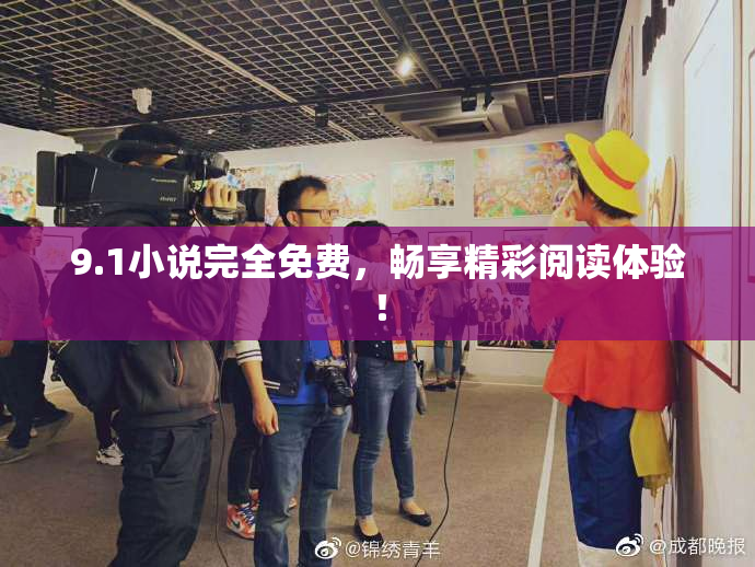 9.1小说完全免费，畅享精彩阅读体验！