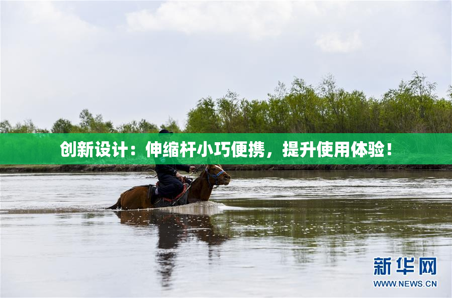 创新设计：伸缩杆小巧便携，提升使用体验！