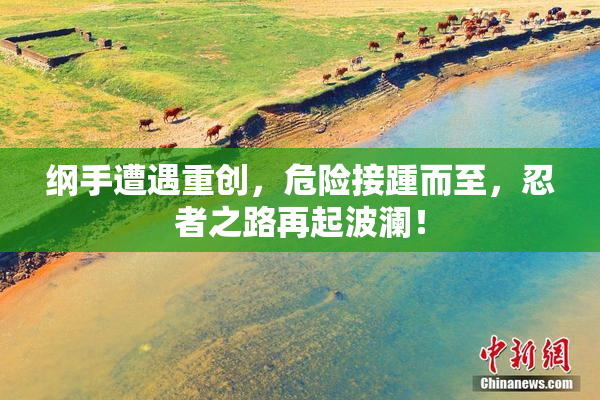 纲手遭遇重创，危险接踵而至，忍者之路再起波澜！