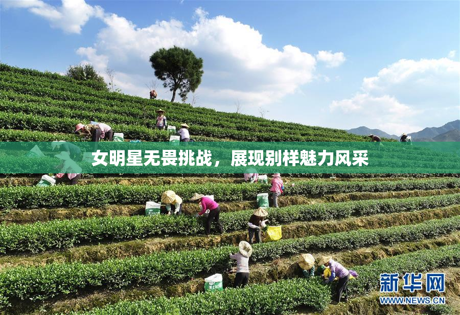 女明星无畏挑战，展现别样魅力风采